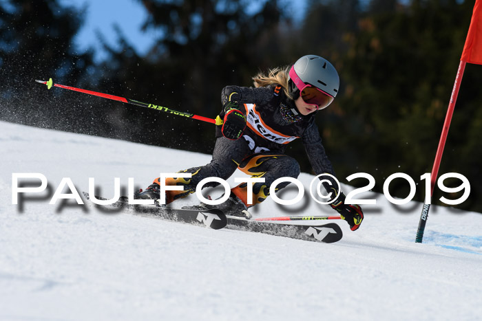 Ziener Cup WF, RS, 24.02.2019