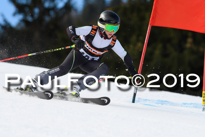 Ziener Cup WF, RS, 24.02.2019