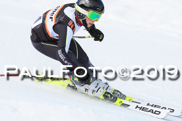 Ziener Cup WF, RS, 24.02.2019