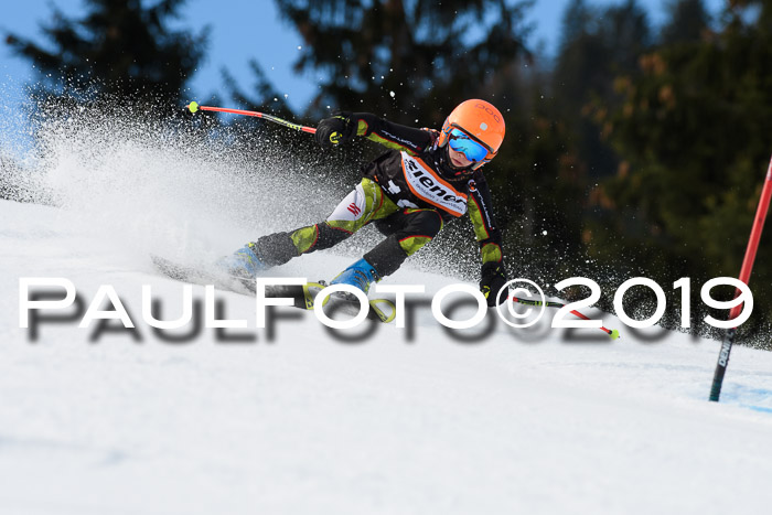 Ziener Cup WF, RS, 24.02.2019