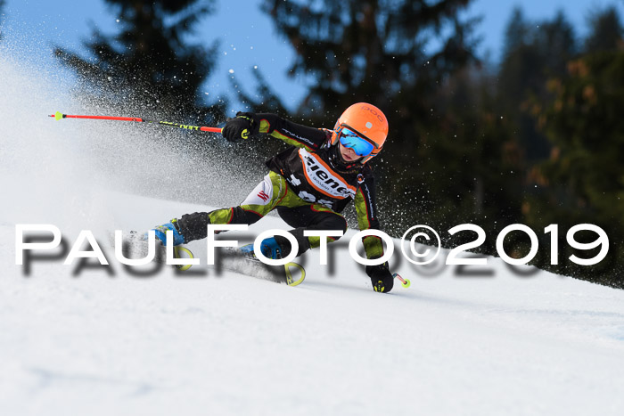 Ziener Cup WF, RS, 24.02.2019