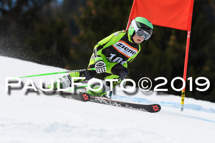 Ziener Cup WF, RS, 24.02.2019
