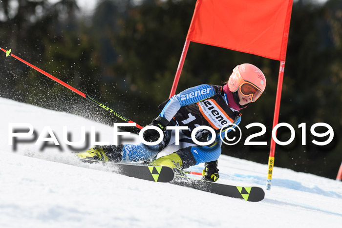 Ziener Cup WF, RS, 24.02.2019