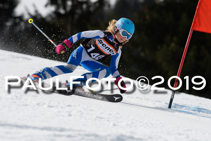Ziener Cup WF, RS, 24.02.2019