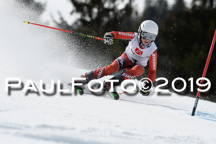 Ziener Cup WF, RS, 24.02.2019
