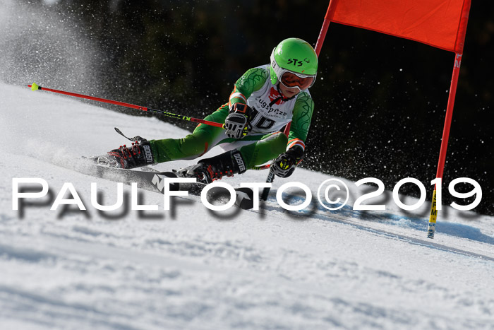 Ziener Cup WF, RS, 24.02.2019