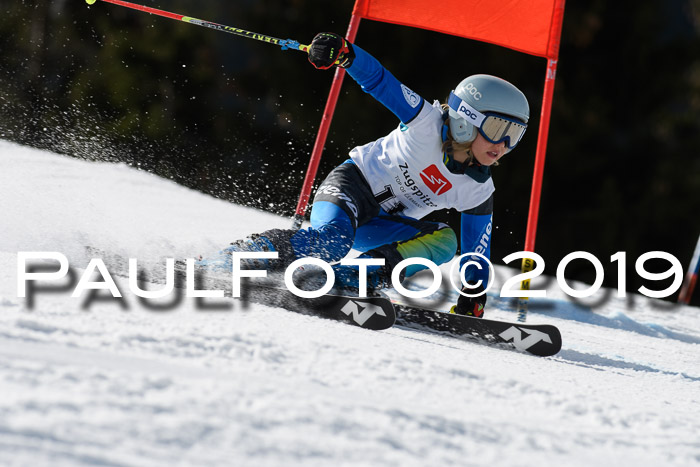 Ziener Cup WF, RS, 24.02.2019