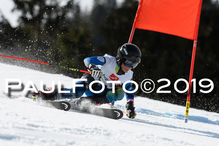 Ziener Cup WF, RS, 24.02.2019