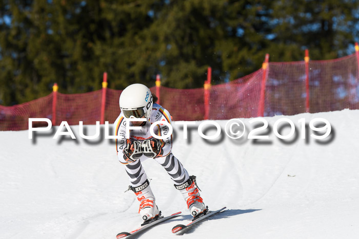DSV Schülercup U16 Super-G, 26.02.2019