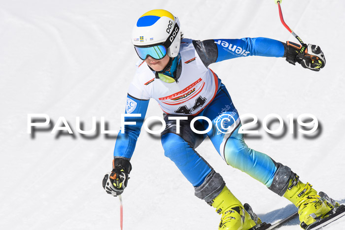 DSV Schülercup U16 Super-G, 26.02.2019