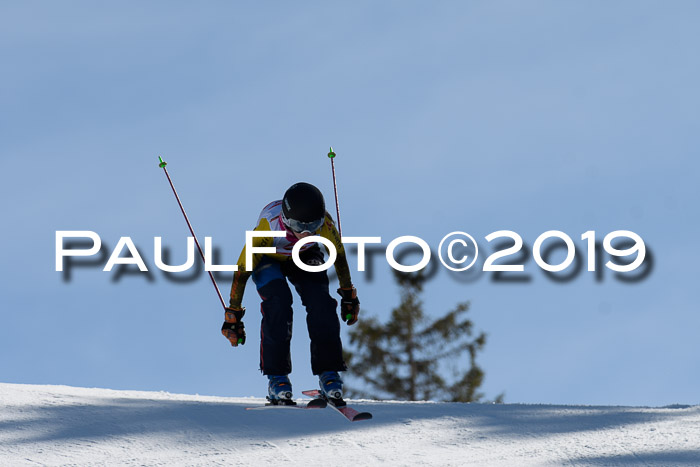 DSV Schülercup U16 Super-G, 26.02.2019