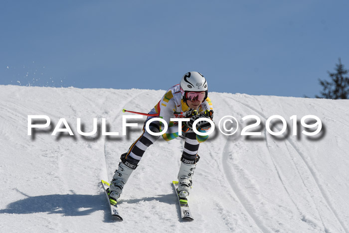 DSV Schülercup U16 Super-G, 26.02.2019