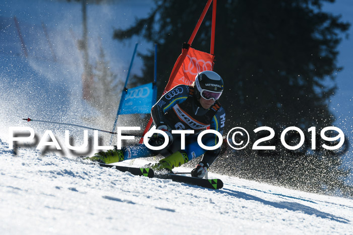 Europa Cup Herren RS