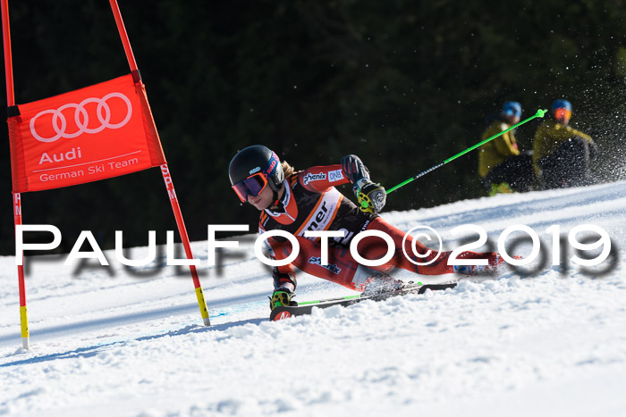 Europa Cup Herren RS