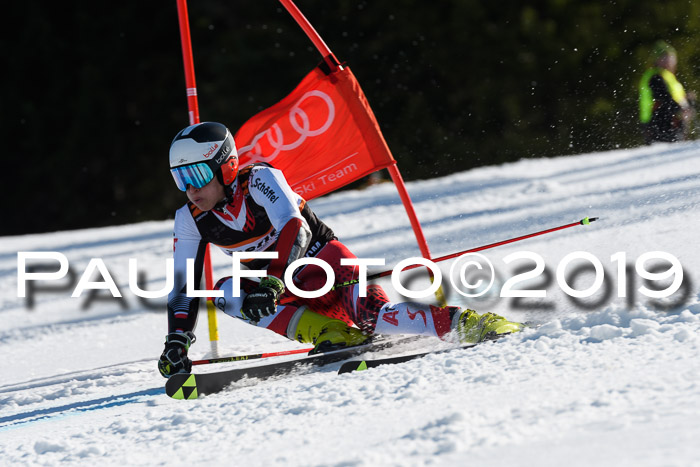 Europa Cup Herren RS