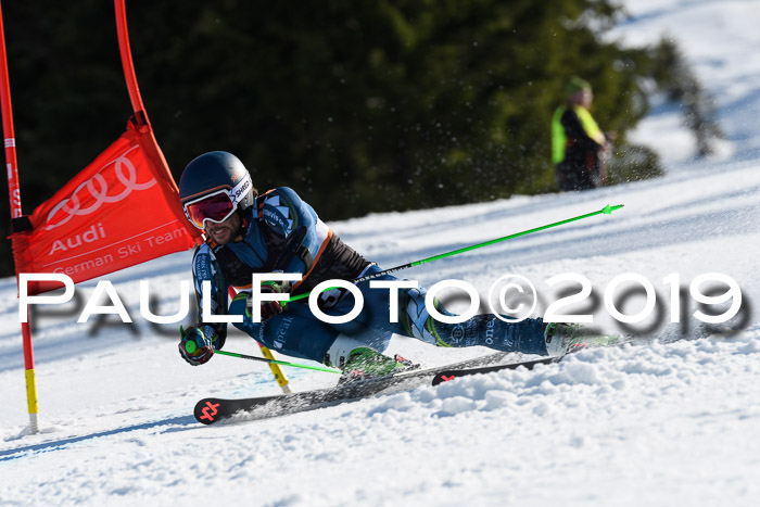 Europa Cup Herren RS