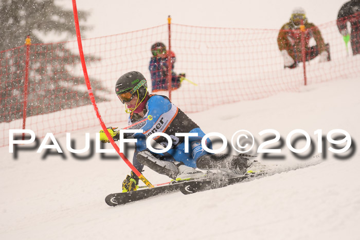 Europa Cup Herren SL