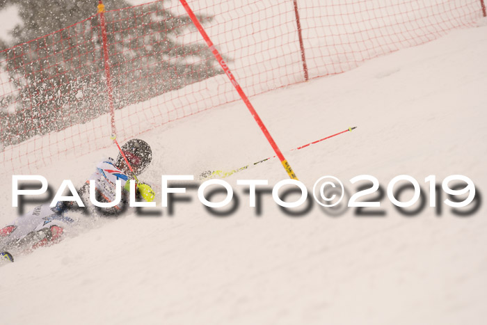 Europa Cup Herren SL
