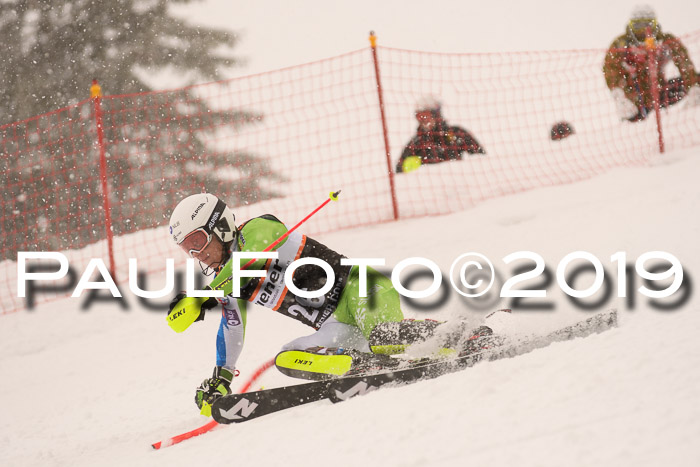 Europa Cup Herren SL