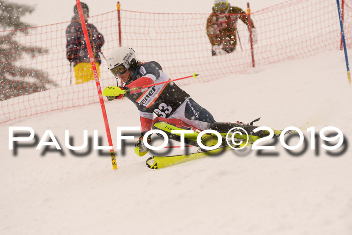 Europa Cup Herren SL