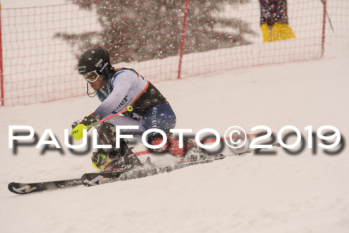 Europa Cup Herren SL
