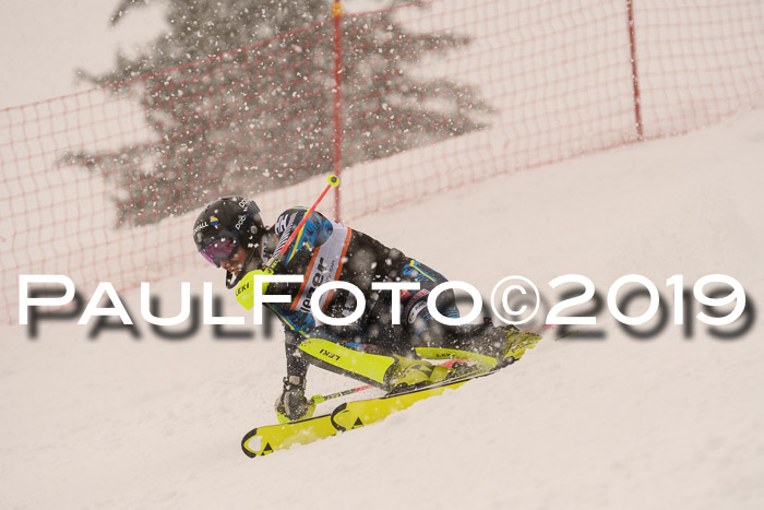 Europa Cup Herren SL