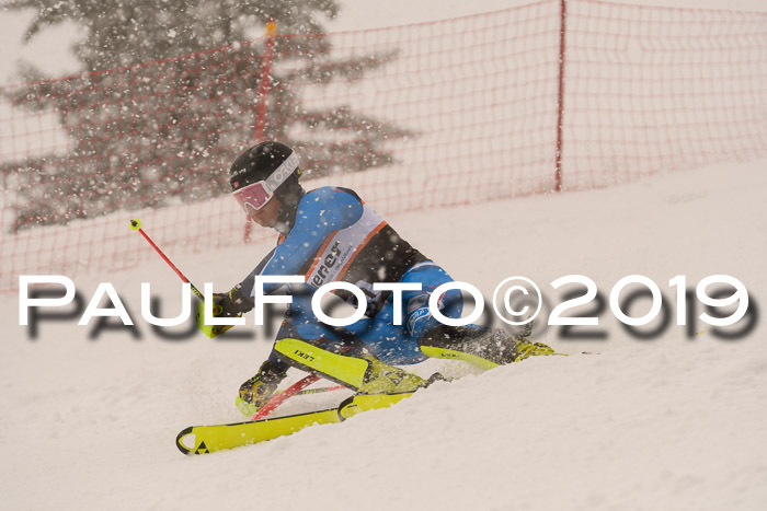 Europa Cup Herren SL
