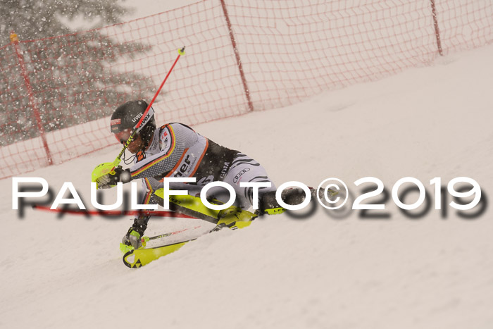 Europa Cup Herren SL