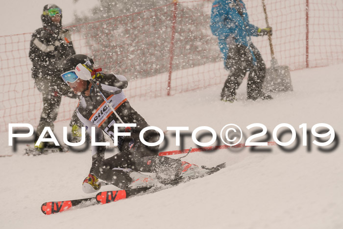 Europa Cup Herren SL