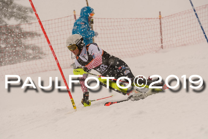 Europa Cup Herren SL