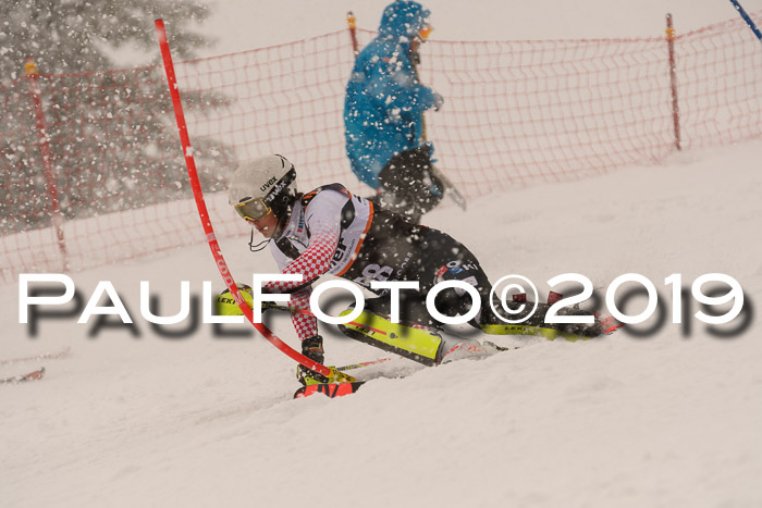 Europa Cup Herren SL