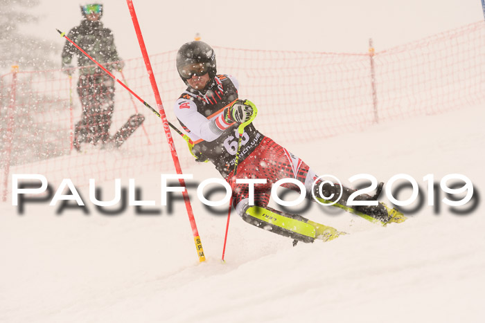 Europa Cup Herren SL