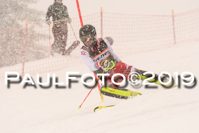 Europa Cup Herren SL