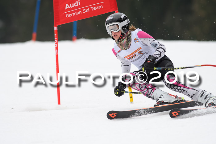 DSV Deutscher Schülercup U12 Finale 2019, Race Cross 02.03.2019