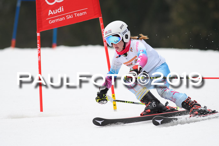 DSV Deutscher Schülercup U12 Finale 2019, Race Cross 02.03.2019