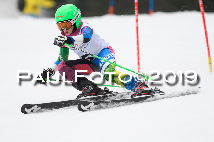 DSV Deutscher Schülercup U12 Finale 2019, Race Cross 02.03.2019