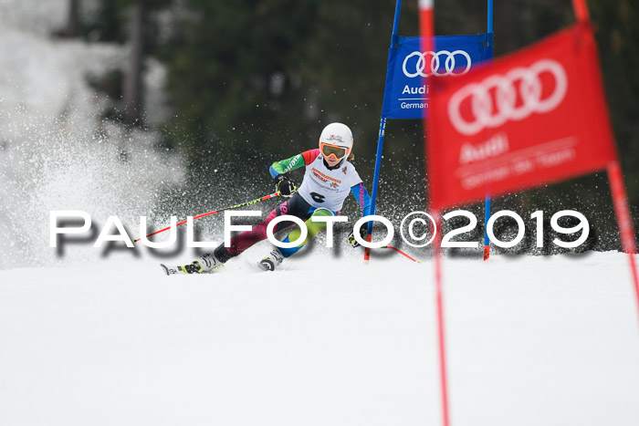 DSV Deutscher Schülercup U12 Finale 2019, Race Cross 02.03.2019