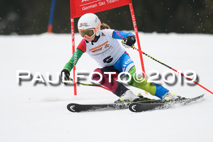 DSV Deutscher Schülercup U12 Finale 2019, Race Cross 02.03.2019