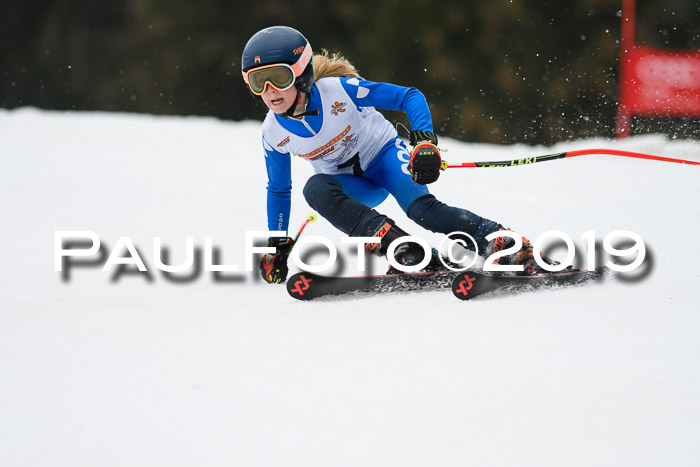 DSV Deutscher Schülercup U12 Finale 2019, Race Cross 02.03.2019