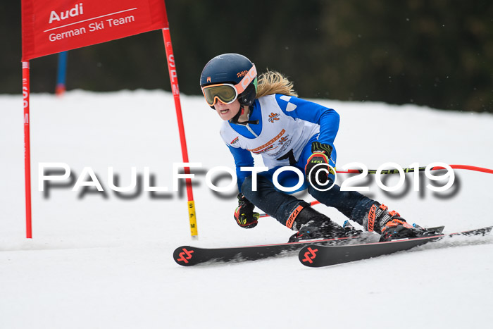 DSV Deutscher Schülercup U12 Finale 2019, Race Cross 02.03.2019