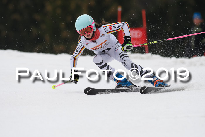 DSV Deutscher Schülercup U12 Finale 2019, Race Cross 02.03.2019