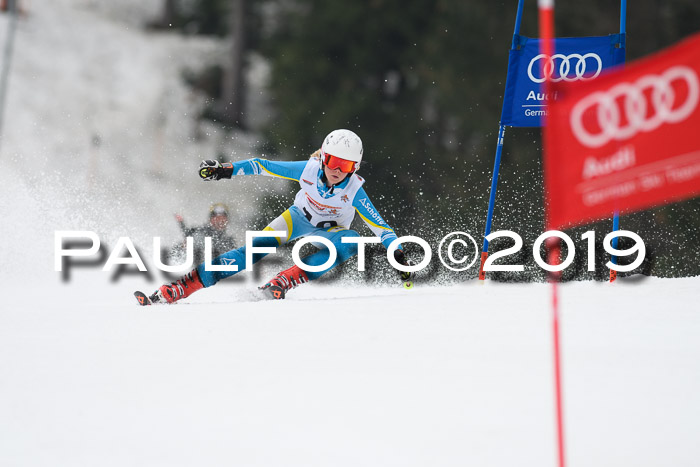 DSV Deutscher Schülercup U12 Finale 2019, Race Cross 02.03.2019