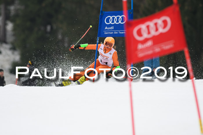 DSV Deutscher Schülercup U12 Finale 2019, Race Cross 02.03.2019