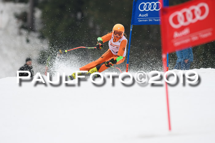 DSV Deutscher Schülercup U12 Finale 2019, Race Cross 02.03.2019