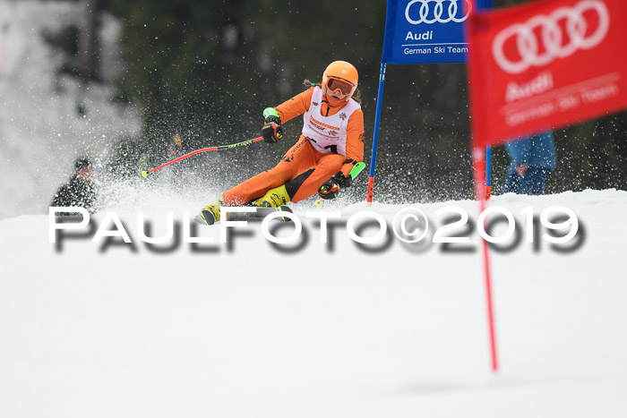 DSV Deutscher Schülercup U12 Finale 2019, Race Cross 02.03.2019