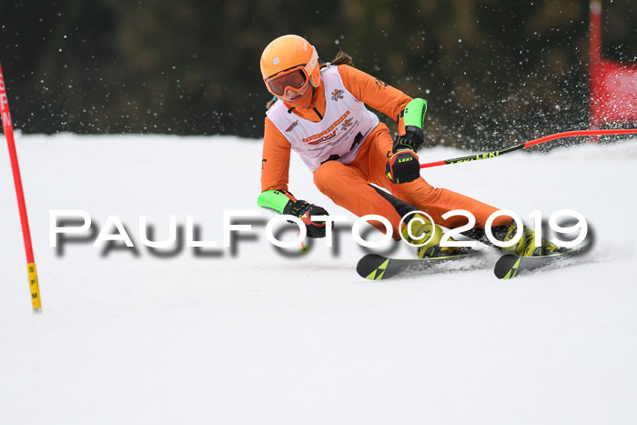 DSV Deutscher Schülercup U12 Finale 2019, Race Cross 02.03.2019