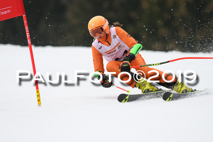 DSV Deutscher Schülercup U12 Finale 2019, Race Cross 02.03.2019