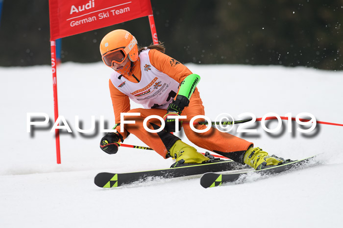 DSV Deutscher Schülercup U12 Finale 2019, Race Cross 02.03.2019