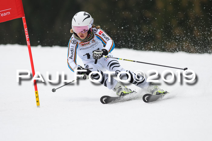 DSV Deutscher Schülercup U12 Finale 2019, Race Cross 02.03.2019