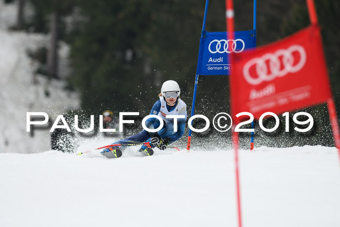DSV Deutscher Schülercup U12 Finale 2019, Race Cross 02.03.2019